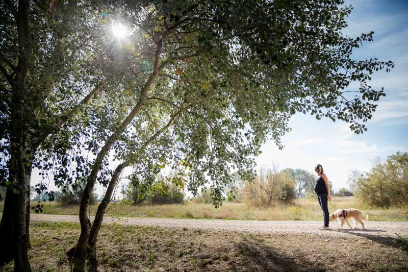 Sesión de fotos de embarazo en exteriores